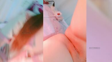 色情主播 粉粉兔